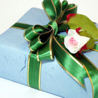 �����������������C���[�W