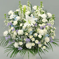 �����������������C���[�W